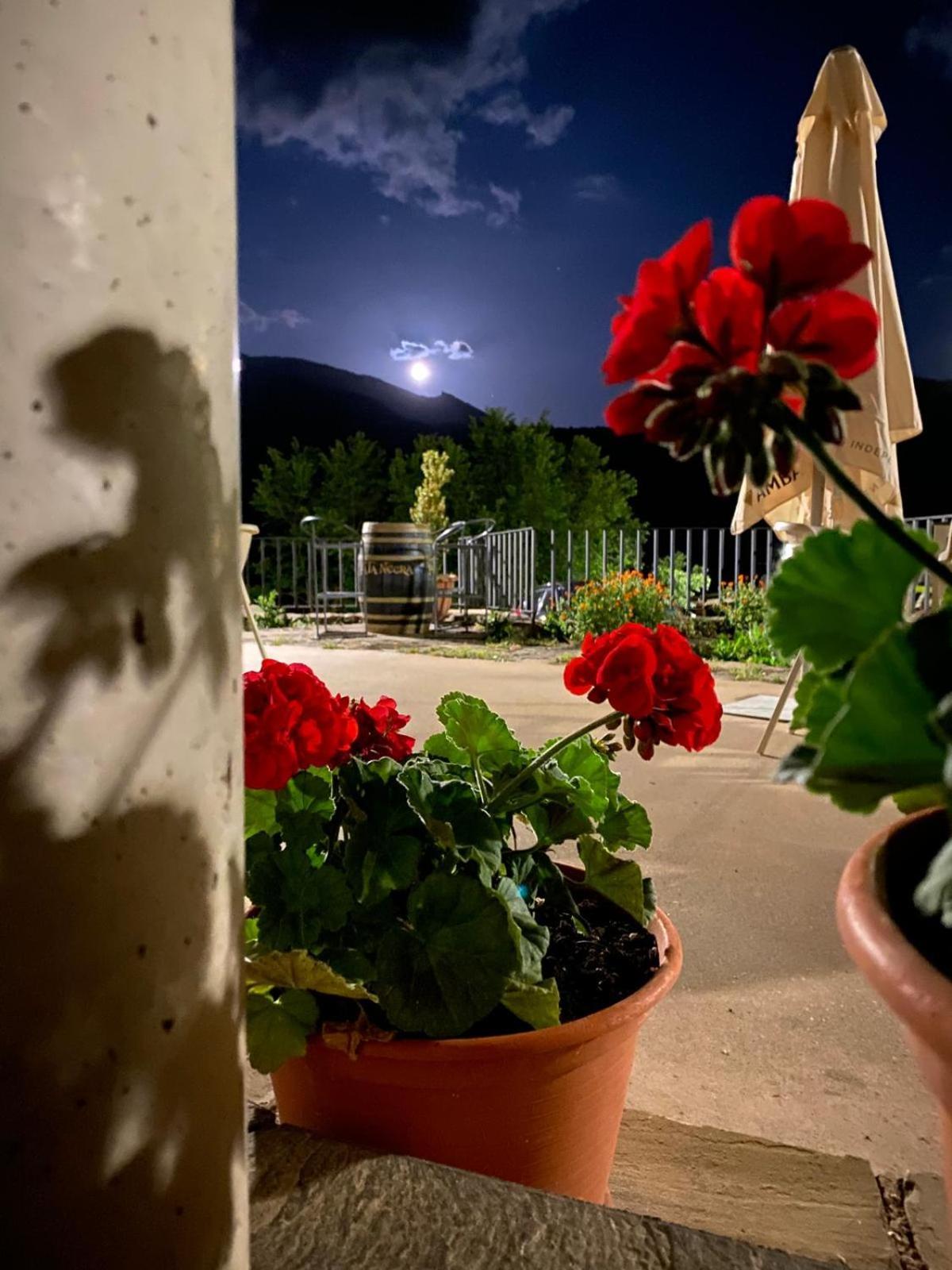 Hotel Guara Inluka Las Almunias Exteriér fotografie