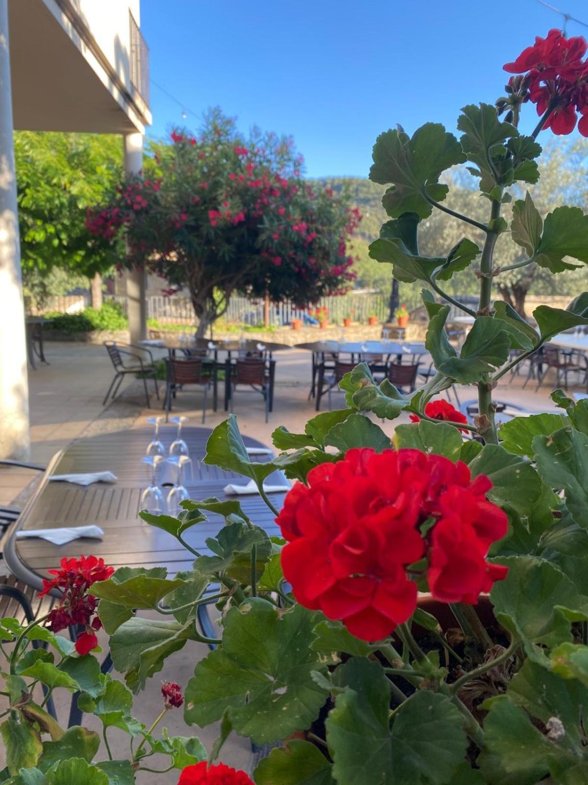 Hotel Guara Inluka Las Almunias Exteriér fotografie